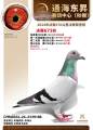 图片暂时未上传