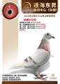 图片暂时未上传