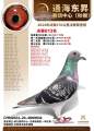 图片暂时未上传