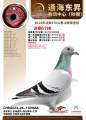 图片暂时未上传