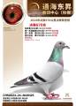 图片暂时未上传