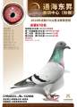 图片暂时未上传