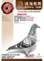 图片暂时未上传