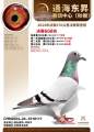 图片暂时未上传