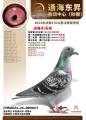 图片暂时未上传