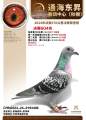 图片暂时未上传