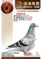 图片暂时未上传