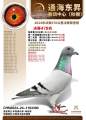 图片暂时未上传