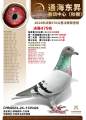 图片暂时未上传