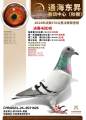 图片暂时未上传