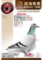 图片暂时未上传