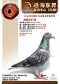 图片暂时未上传