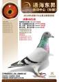图片暂时未上传