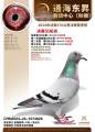 图片暂时未上传