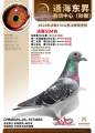 图片暂时未上传