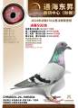 图片暂时未上传