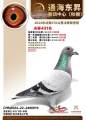 图片暂时未上传