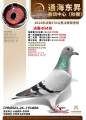 图片暂时未上传