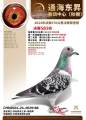 图片暂时未上传