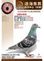 图片暂时未上传