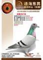 图片暂时未上传