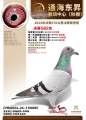图片暂时未上传