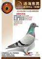 图片暂时未上传