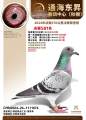 图片暂时未上传