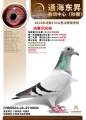 图片暂时未上传