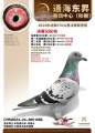 图片暂时未上传
