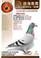 图片暂时未上传