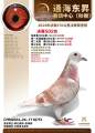 图片暂时未上传