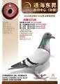 图片暂时未上传