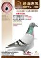 图片暂时未上传
