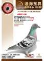 图片暂时未上传
