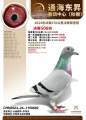 图片暂时未上传