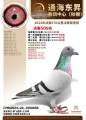图片暂时未上传