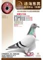 图片暂时未上传