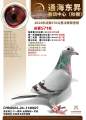 图片暂时未上传