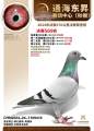 图片暂时未上传