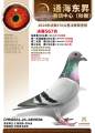图片暂时未上传