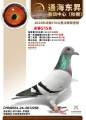 图片暂时未上传