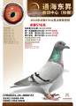 图片暂时未上传