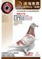 图片暂时未上传