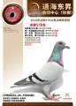 图片暂时未上传
