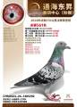 图片暂时未上传