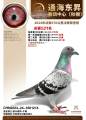 图片暂时未上传