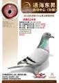 图片暂时未上传