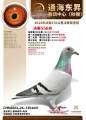 图片暂时未上传