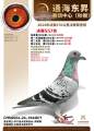 图片暂时未上传